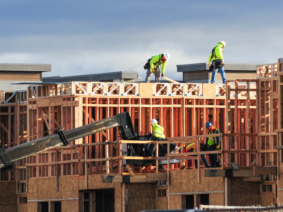Builders working on the timber framing of a house